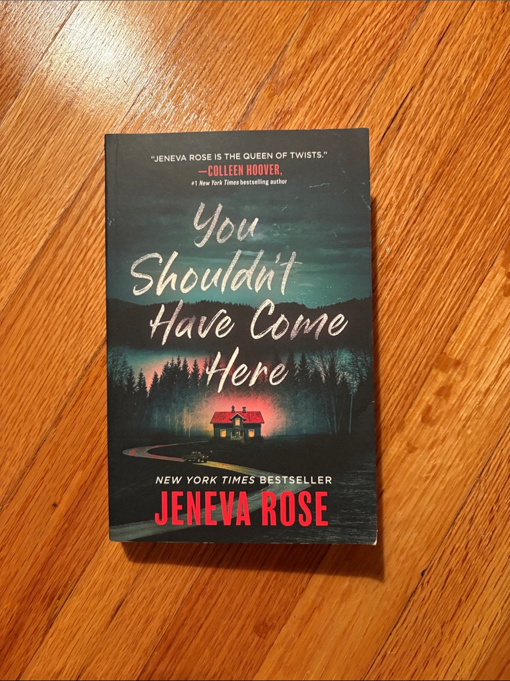 You Shouldn't Have Come Here by Jeneva Rose